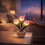 永恆蜜桃鬱金香小夜燈
