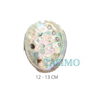 Xô Thơm Thanh Tẩy Lá Sage Xông Nhà Palo Santo Xô Thơm Xanh Năng Lượng Tích Cực Thư Giãn