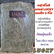 Timothy Grass Lucky Brand 3-5 Kg Premium Horse Grade Can Hold A Lot New Very Fragrant (Grass)