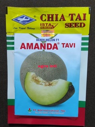 Benih melon AMANDA TAVI F1 isi 550 butir cap Kapal Terbang