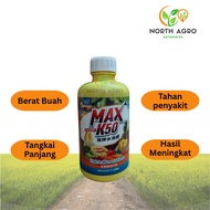 MAX K50 | Padi | Vitamin Buah | Tangkai Panjang | Baja Foliar (500ml)