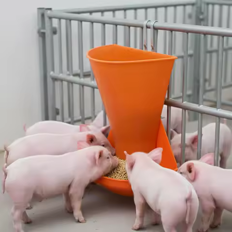 Piglet Feeding Bowl Wall Mounted Piglet Feeder Trough Pig Farming Feeder Pig Feeding Piglet Anti-Spi