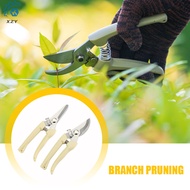 Branch Shears Stainless Steel Branch Shears Pruning Shears Flower and Wood Shears Garden Fruit Tree 