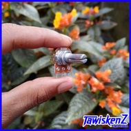 B100K Mono Potentiometer B50K 3-Leg/