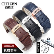 CITIZEN/ Citizen strap genuine leather cowhide light kinetic energy original butterfly buckle men's Falcon strap watch chain