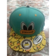 Topi Pancoat Premium