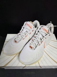 Nike LeBron 21 請睇內容