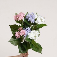 Simulation Hydrangea Twigs 2 Snowballs with Leaves Indoor Home Wedding Decoration Flower Ornaments S