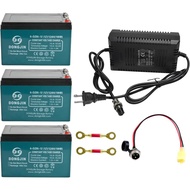 3 Pack 6-dzf-12 Battery 6-DZM-12 6DZM12 12V 12Ah Rechargeable Lead Acid Battery for 36V Mobility Sco