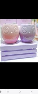 購自my pottery shop