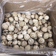 顶级白花菇大6cm-8cm 100G/200G/500G/ Grade A Dried Mushrooms/6cm-8cm 100G/200G/500G 年货必备 新年食材 CNY Food