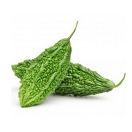 ready peria katak fresh rangggup 500gram