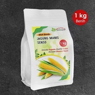 1 Kg Benih jagung manis senso super / bibit jagung manis