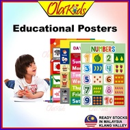 OLAKIDS 12 in 1 Set Kid Learning Wall Poster Chart Educational Poster Pendidikan Awal Prasekolah ABC