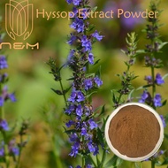N&M/ Hyssop Extract Powder/ Promote Blood Circulation, Reduce Inflammation, Swelling and Antibacteri