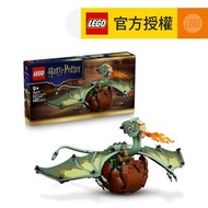 LEGO® Harry Potter™ 76477 蘿蔔：海格的小龍 (哈利波特,居家擺設,禮物,玩具)