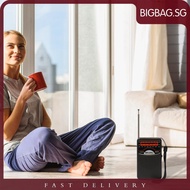 [bigbag.sg] Digital Radio Built-in Speaker Pocket Pointer Radio LCD Display Battery Operated