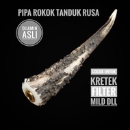pipa once tanduk RS / kijang asli