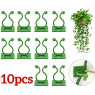10 Pcs Plant Clips Invisible Wall Vines Fixture Clips Self-Adhesive Plant Wall Fixture Supports