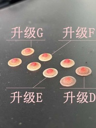 1/4 1/6 1/12 Female Chest Patch Replacement Part Self-D Suitable For TBL Lan ANT Body