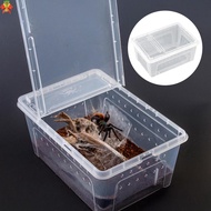Reptile Small Snake Feeding Box Lizard Tarantula Living Cage Hatching Container for Lizard Gecko Pet