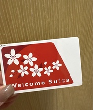 東京櫻花suica卡