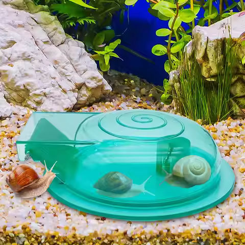 Snail Trap Transparent Snail Catcher Small Cleaning Accessories Lightweight Planaria Removal Supplie