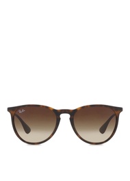 Ray-Ban Erika RB4171 Sunglasses