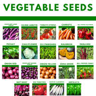 Vegetable Seeds Kamatis Pechay Talong Ampalaya Sibuyas Okra Sili