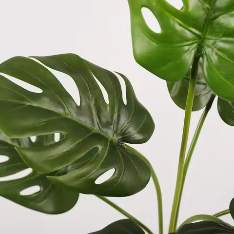 High-quality Feel Simulated Banana Leaves 7 Leaves, Canna Turtle Back Plants Landscaping, Simulated 