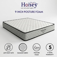 MUSE Design Honey POSTURE PLUS 9 Inch Foam Mattress