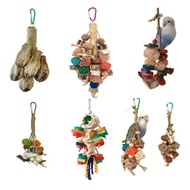 🇸🇬 Parrot Chew Toy: Bird Molar Gnawing Toy with Nuts, Cuttlefish Bone, Wooden Blocks, and Fruit for Grinding