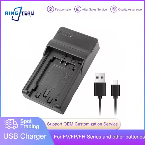 NP-FV50 USB Charger FV70 FV100 Charger for Sony Camcorders FDR-AX33 AX100 NEX-VG10 VG20 VG30 VG900 H