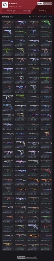 Valorant 極品帳號 21爪刀 22套 24套 2026VCT多skin