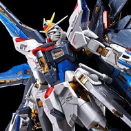 RG 1/144 STRIKE FREEDOM GUNDAM[TITANIUM FINISH