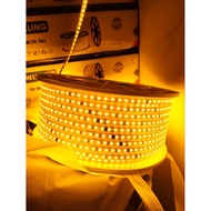 LED STRIP LIGHTS PURE NEEDLE HOSE 5050, 100M FULL