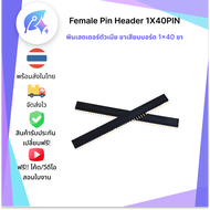 Female Pin Header 1X40PIN แถบเชื่อมต่อ PCB ตัวเมีย 1 ชิ้น SNP-00227
