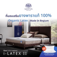 LOTUS ที่นอนยางพารา (สเปคสมดุลลงตัว) รุ่น i-Latex II หนา 8 นิ้ว ส่งฟรี