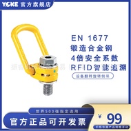 Safe Lifting Ring Taiwan YOKE Original Factory 8-211580M8/M10/M12.Cable Hook Chain