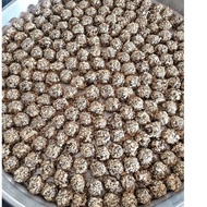 (-+50pcs) NESTUM BISCUITS BAJET RAYA BISCUITS/