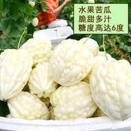 Sg Bitter Gourd Seeds Sweet Fruit Bitter Gourd Seeds Taiwan Bitter Gourd Seeds Vegetable Seeds