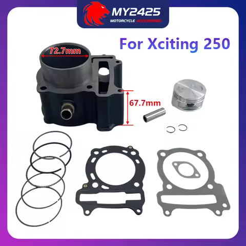 For Kymco Xciting 250 Mxu250 Dink 250 People S 250cc 12100-KHE7-900 Motorcycle Engine Parts 72.7mm B