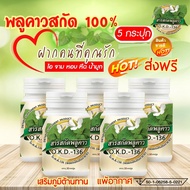 สารสกัด พลูคาว O.K.D.-136 แบบแคปซูล ชุดสุดคุ้ม 5 กระปุก 1กระปุก/30 แคปซูน 1แคปซูล 500 ml เพิ่ม ภูมิค