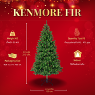 ต้นคริสต์มาส Kenmore Fir - Christmas Tree | H 210 cm.