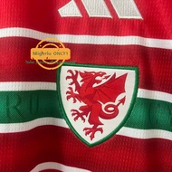 25/26 Wales-team home fans edition football jersey S-4XL