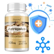 Buporai Astragalus Root 10:1 Extract 420mg, Equivalent to 4200mg Astragalus Root, Antioxidant, Suppo