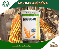 เมล็ดพันธุ์ข้าวโพด NK 6848 เมล็ดสีส้มสวย ทนทานโรค ขนาดบรรจุ 10 กิโลกรัม สู้แล้ง ผลผลิตสูง ฝักใหญ่ (ค