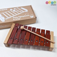 PlayMe - Mini Xylophone (8 Keys)