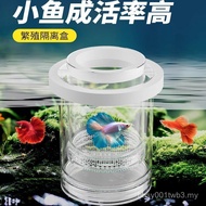 Guppy Fish Tank Incubation Box Isolation Box Breeding Box Phoenix Tail Zebra Betta Fish Delivery Roo