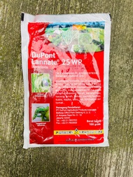 Insektisida Dupont LANNATE 25WP